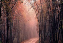 卡迪洗衣机售后电话|全国统一服务热线(400/总部)